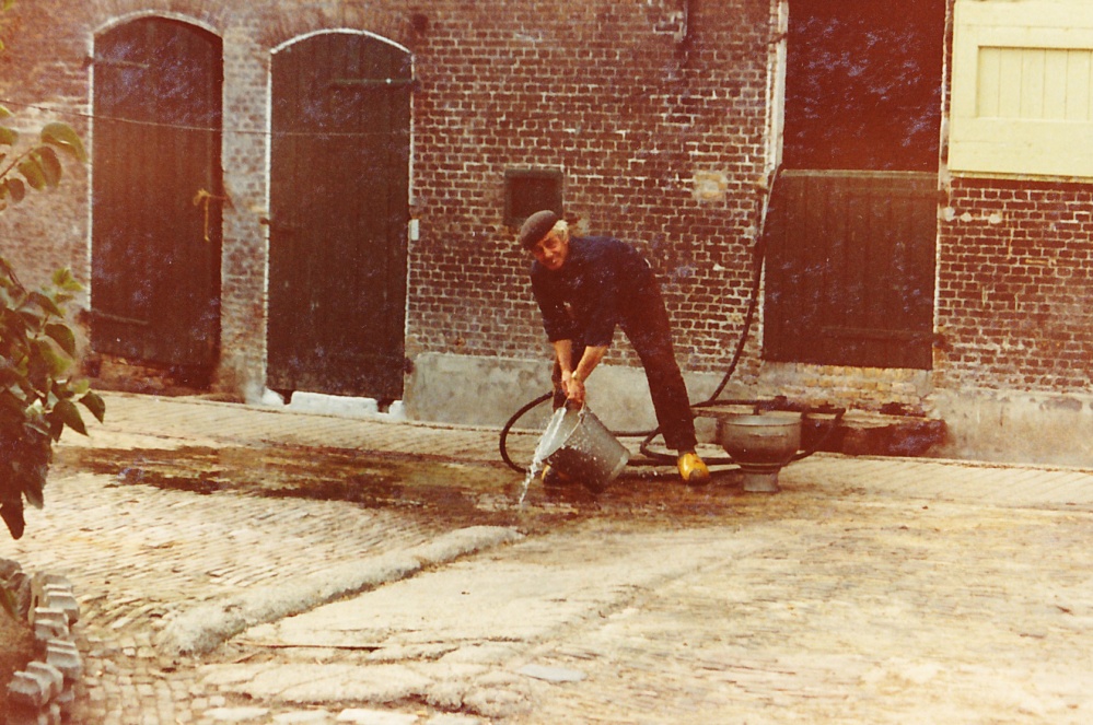 Uitgelichte afbeelding